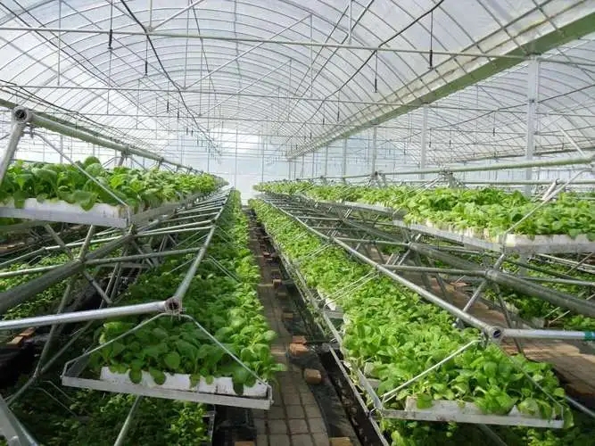重慶大棚廠