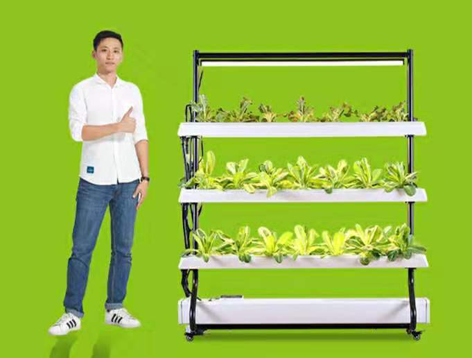 家庭全自動水培種植系統