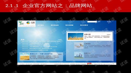 淘寶電子商務(wù)運(yùn)營解決方案